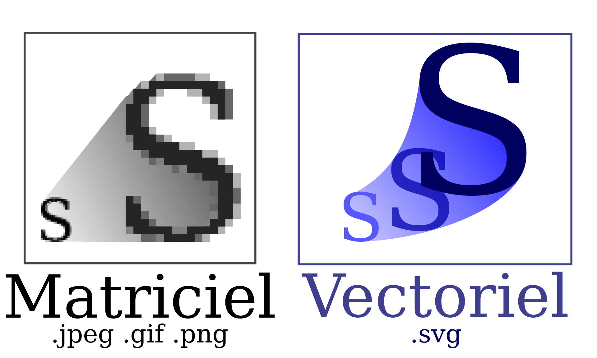 Matrix vs vector