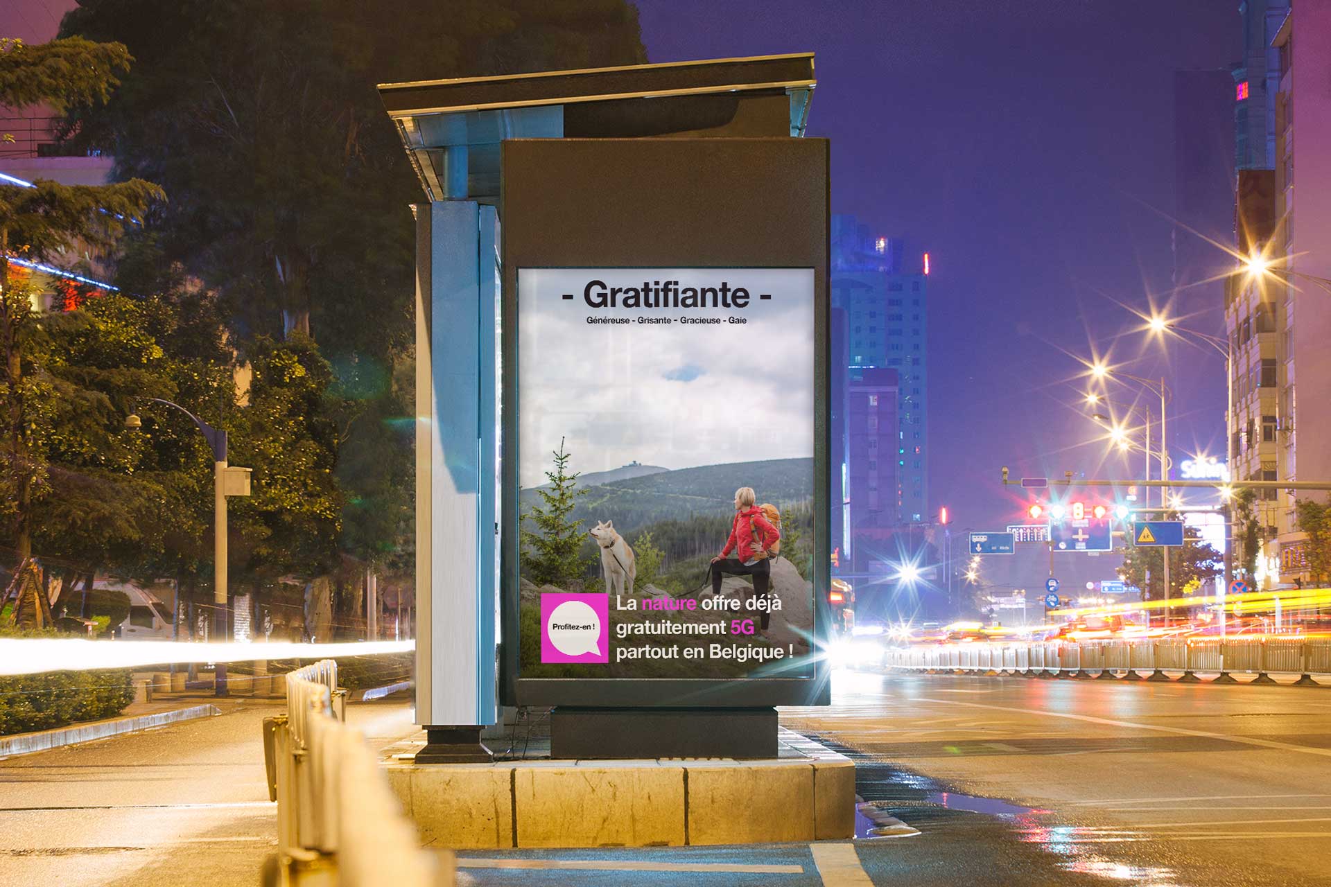 Poster in a bus stop showing a gril at the top of a mountain with a white dog