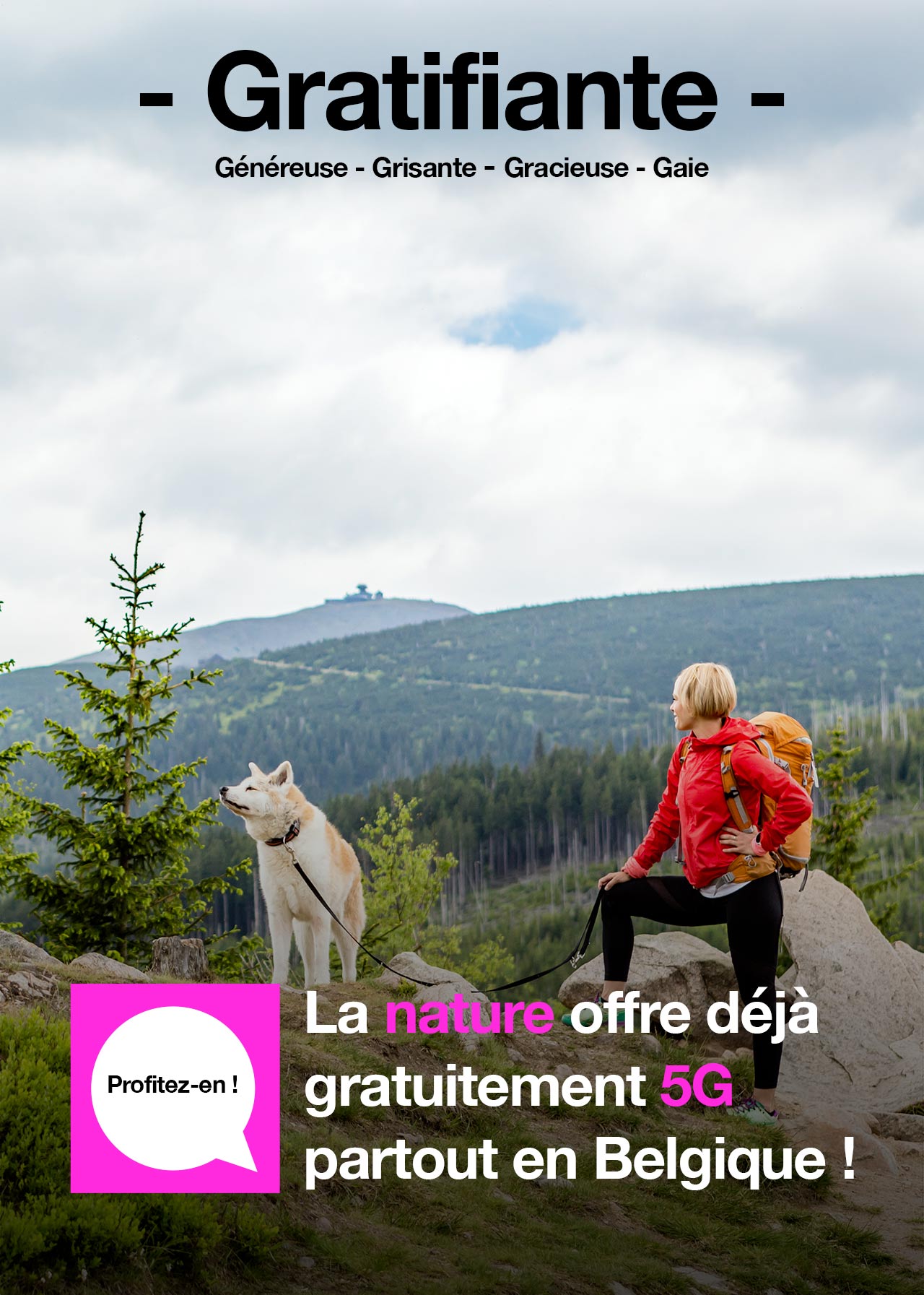 At the top of a mountain with a white dog