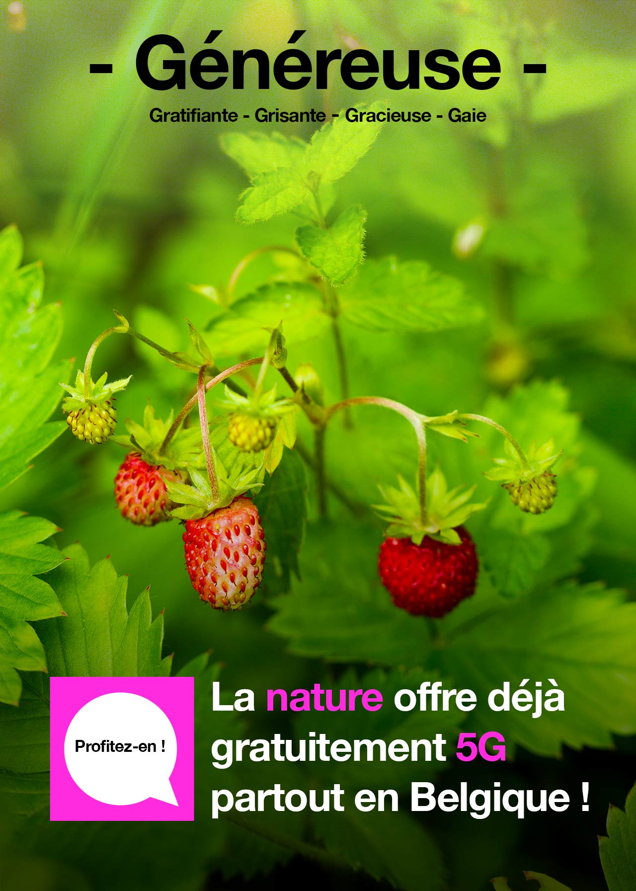Strawberries on a green background