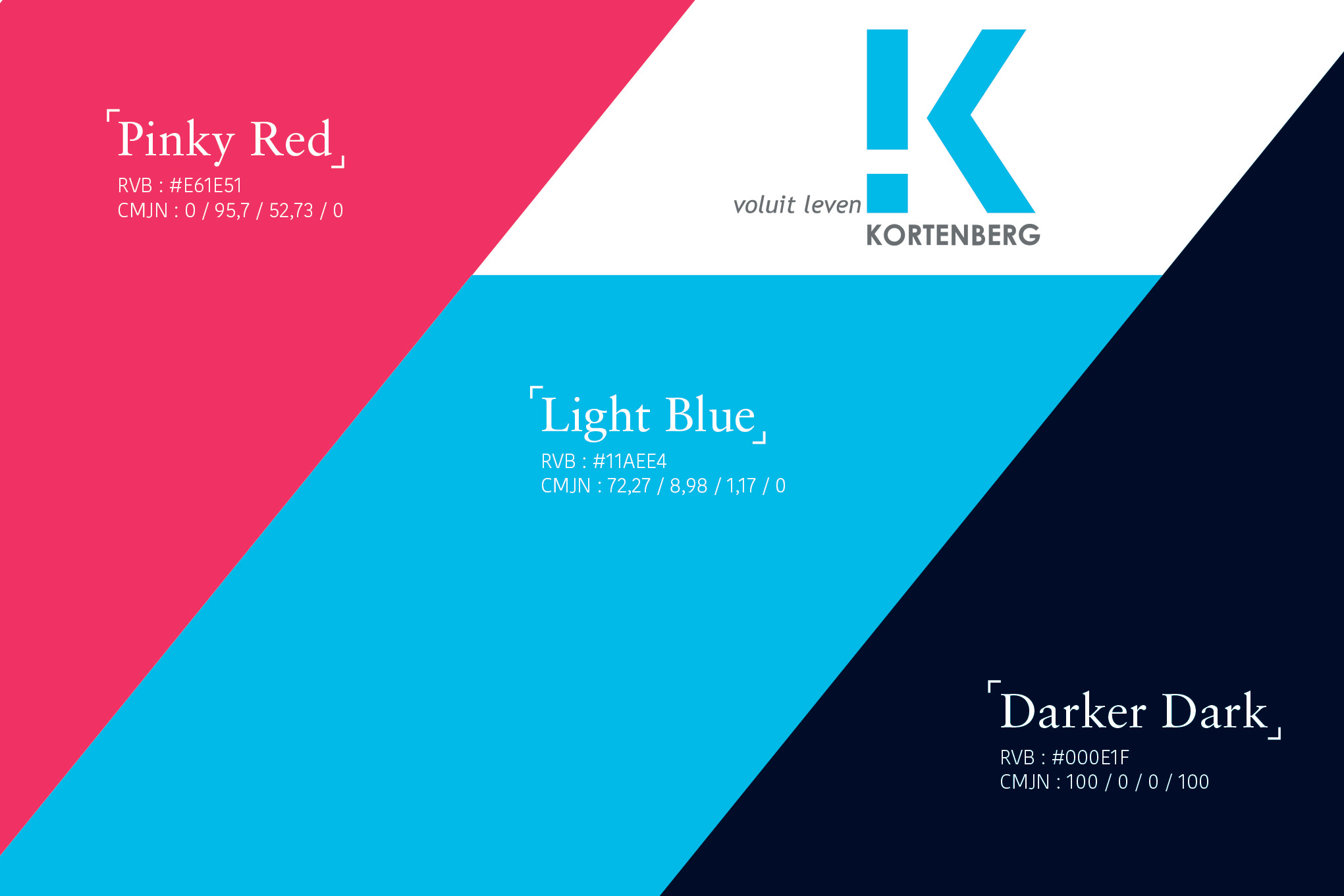 Graphic charter with blue, red and dark colors