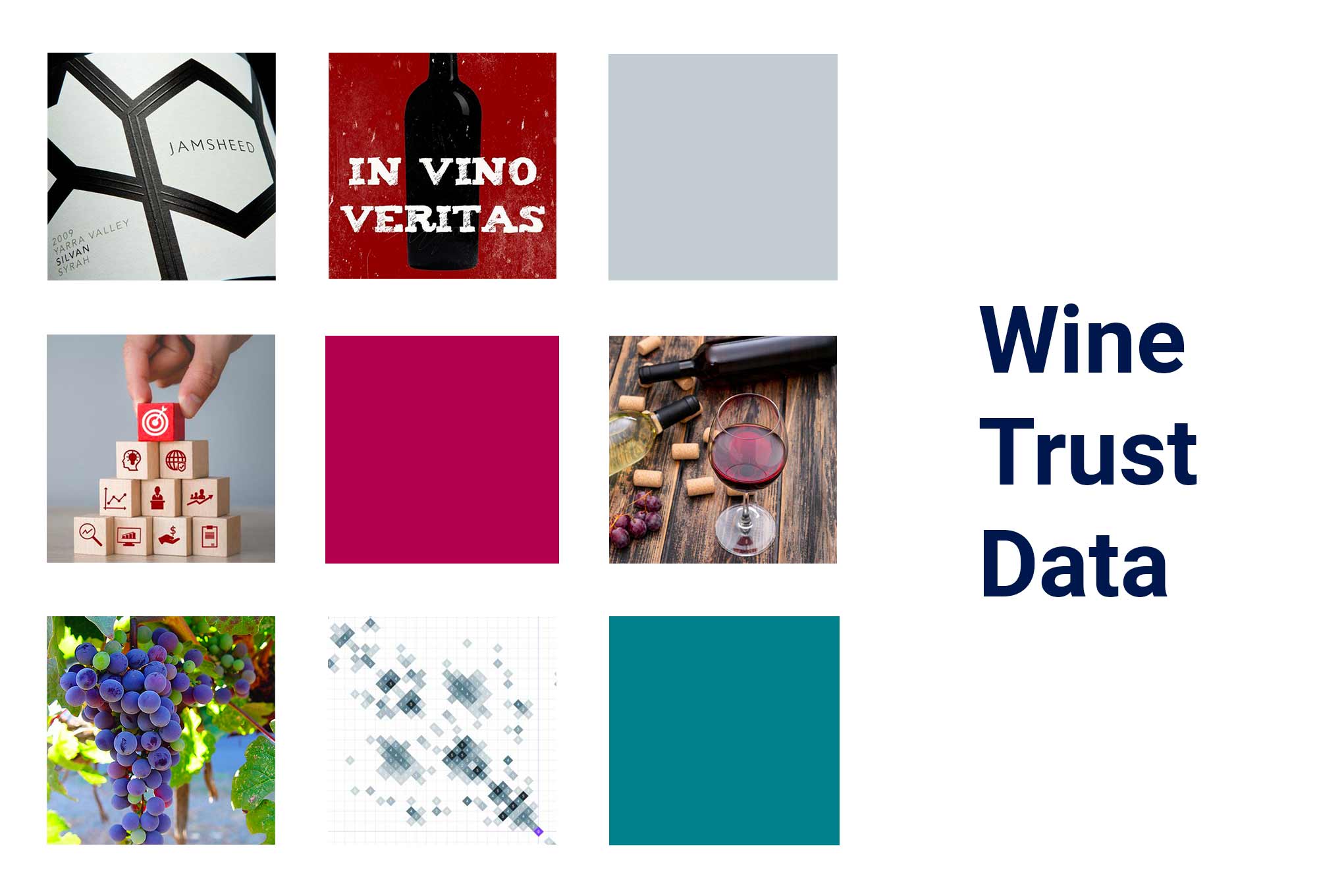 Moodboard for In Data Veritas