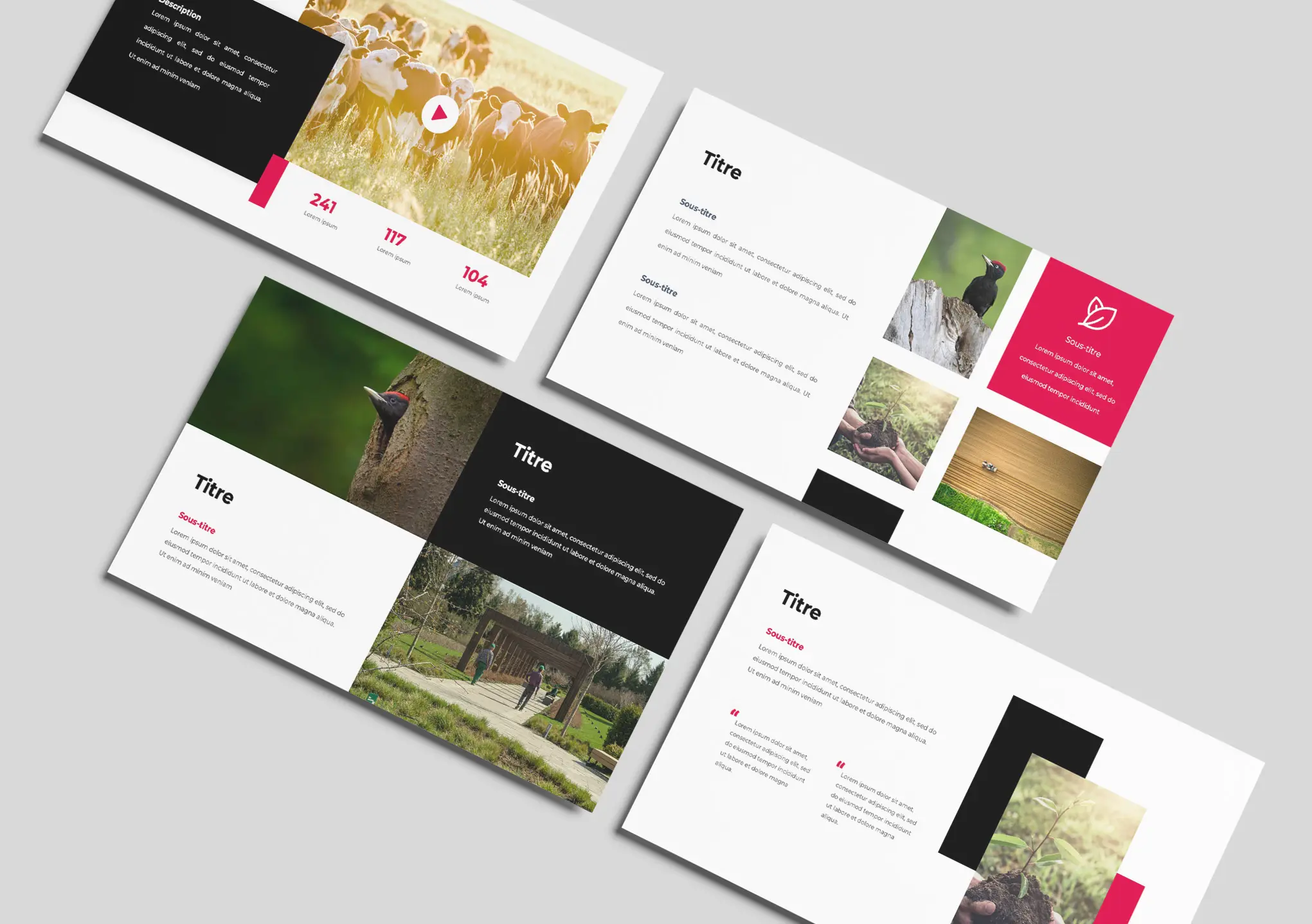 Plusieurs slide du template PowerPoint