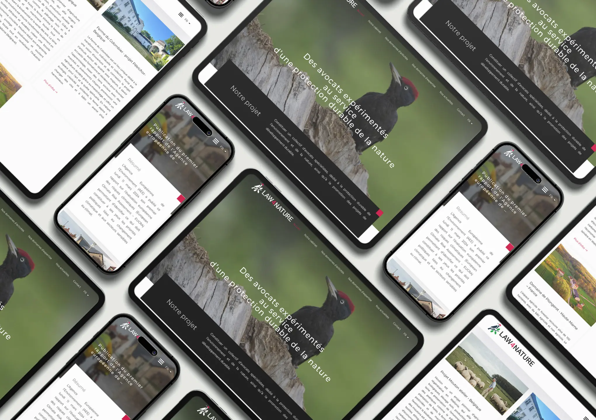 Plusieurs écrans d'un site web