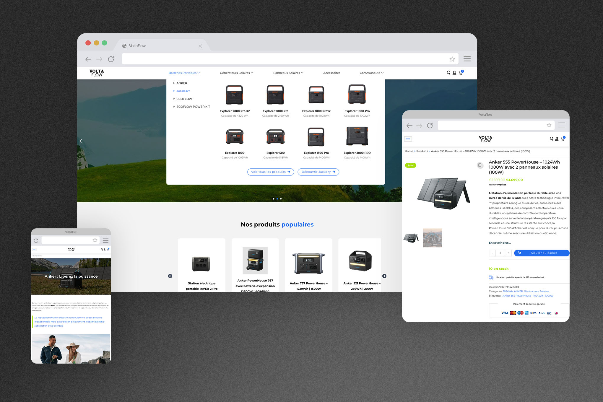 Screenshots of some pages of the website
